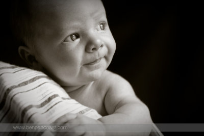Newborn baby photographer in Southwest Michigan, Saint Joseph.
