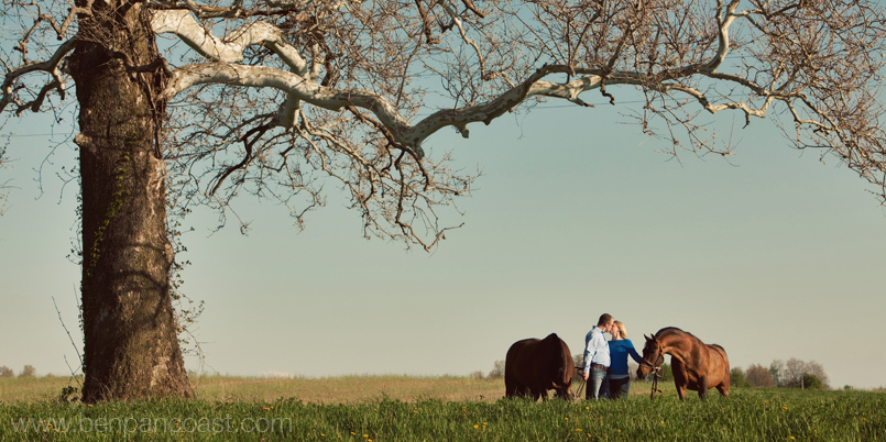 Engagement picture of a couple with their horses.
