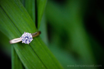 Wedding ring, detail, blue dress barn