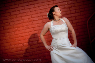 Bridal portrait, bride, trash the dress, portrait, Saint Joseph Michigan