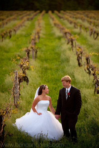 Wedding photos at a vineyard in Michigan.