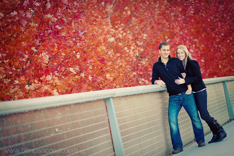 Engagement pictures in the fall at Millenium park. 