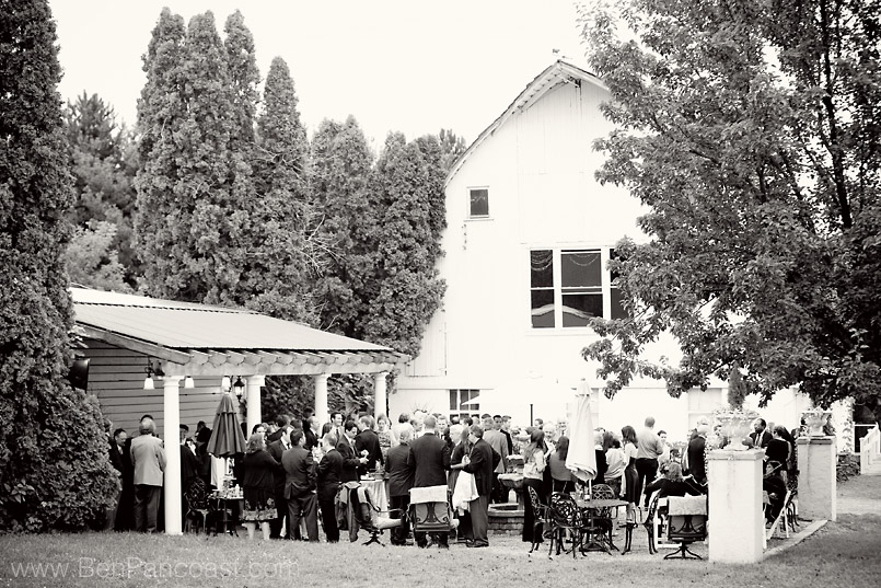 Wedding pictures at a vineyard wedding, willow harbor vineyard, Michigan