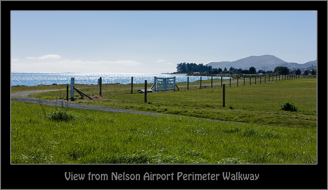View from Nelson Airport Perimeter Walkway