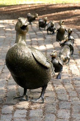 Make Way For Ducklings Boston