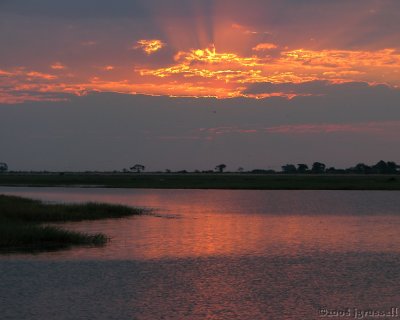 Chobe River sunset