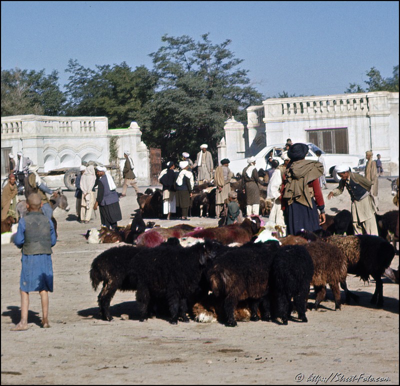 Afganistan in 1969. Market in Kabul. Emir Shabashvili's private collection