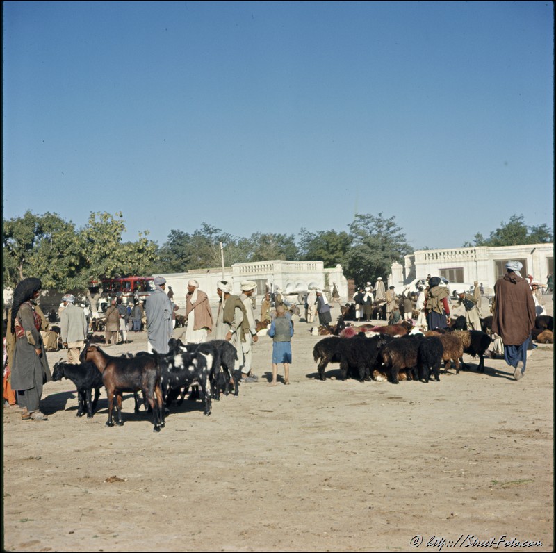 Afganistan in 1969. Market in Kabul. Emir Shabashvili's private collection