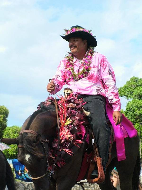 Pink Represents Island of Maui