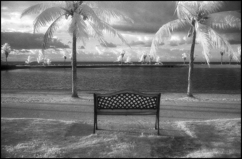 Black and White infrared photograph of a vista in Matheson Hammock park in South Miami, Florida, USA, 2006. Street Photography of Miami, San Francisco and Key West by Emir Shabashvili, see http://street-foto.com, http://miamistreetphoto.com, http://miamistreetphotography.com or http://miamistreetphotographer.com