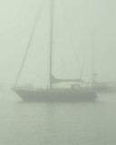 Maine Sail Avatar