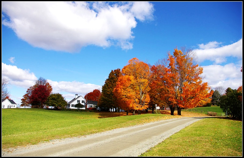 Vermont - 燦爛秋色 - netliuying - netliuying的博客