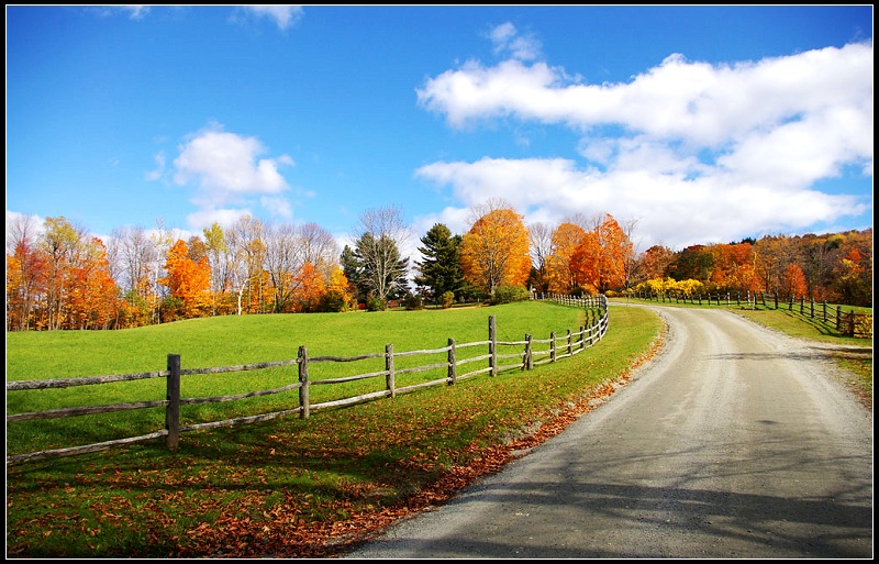 Vermont - 灿烂秋色 - netliuying - netliuying的博客